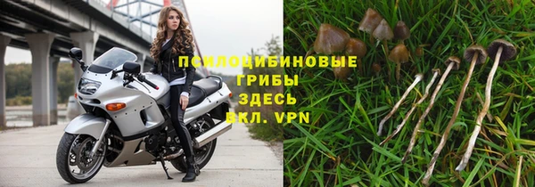 ГАЛЛЮЦИНОГЕННЫЕ ГРИБЫ Михайлов