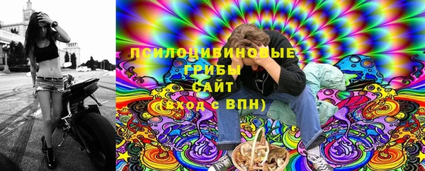сатива Михайловка