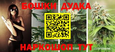 гашик Аргун