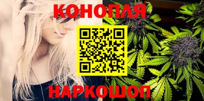 молекула духа Камышлов