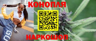 молекула духа Камышлов