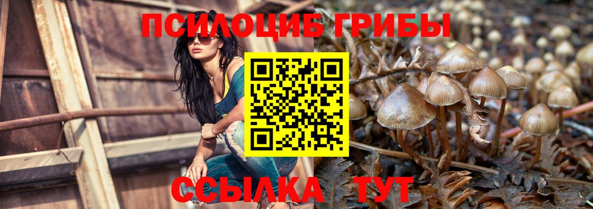 Псилоцибиновые грибы ЛСД  Нижний Новгород 