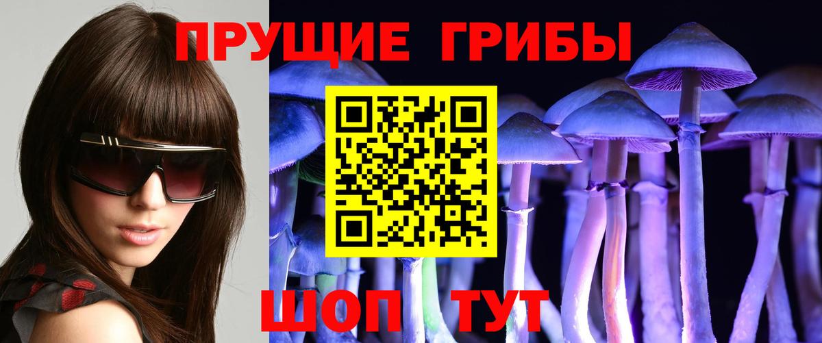 Галлюциногенные грибы Cubensis  Вход с VPN  Псилоцибиновые грибы прущие грибы  Нижний Новгород 